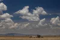Landscapes