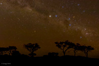 Nightscapes