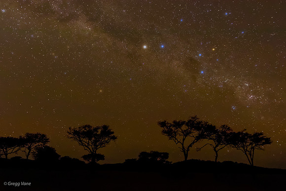 Southern Cross over the Serengeti
