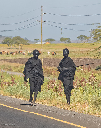 Masai adolescents on pre-circumcision walk-about